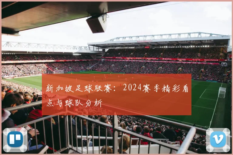 新加坡足球联赛:2024赛季精彩看点与球队分析
